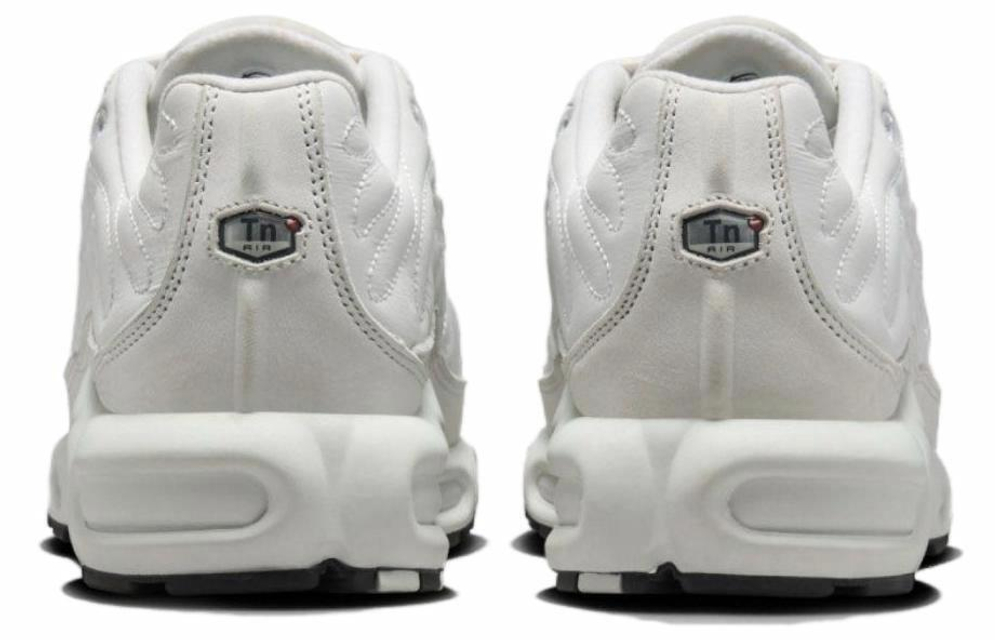 Кроссовки Nike Air Max Plus (Женская размерная сетка)
