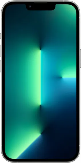 Apple iPhone 13 Pro Max 1024GB Серебристый