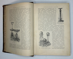 Гесдерфер М. Комнатное садоводство. СПб. Изд. Девриена, 1898г.