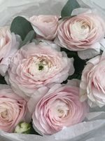 Букет из ранункулюсов