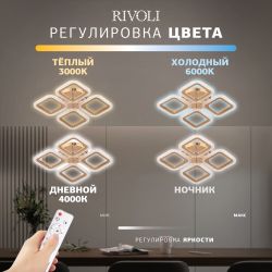Светильник потолочный светодиодный Rivoli   6179-702 LED 64Вт 3000-6000К с пультом