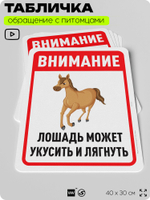 Табличка "Лошадь может укусить и лягнуть" на дверь и забор, для конюшни, фермы, деревни, 40х30 см, Silver Plane x Айдентика Технолоджи