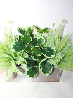 Искусственное растение Папоротник с зеленью 45см в деревянном кашпо