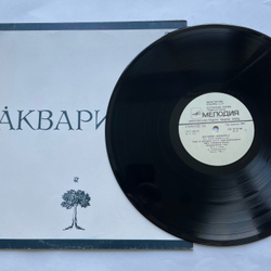 Винтажная виниловая пластинка LP квариум Сны О Чем То Большем (СССР 1987)