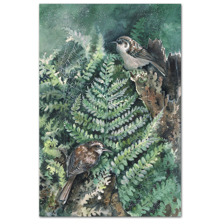 Утро после дождя