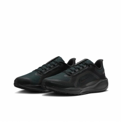 Мужские кроссовки Nike Air Zoom Pegasus 41 Gore-Tex 'Black Anthracite' FQ1356-001