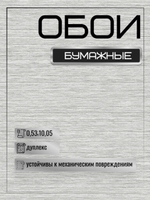 Обои белорусские бумажные 53 см * 10 м  Алтея фон к-21