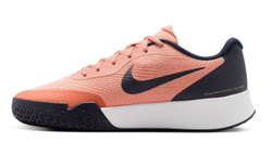 Мужские кроссовки теннисные Nike Vapor Lite 3 - разноцветный