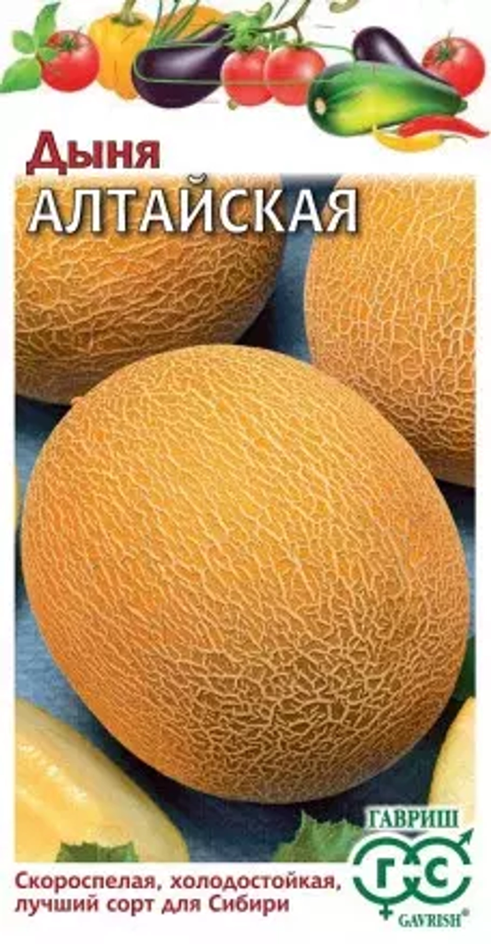 дыня Алтайская
