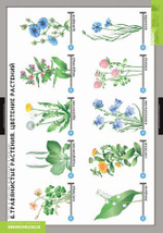 Комплект таблиц "Окружающий мир. Летние и осенние изменения в природе"; 13 таблиц + 32 карт.