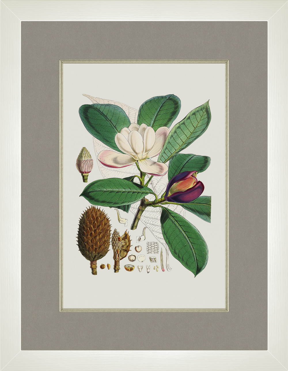 Картина 042 (X)