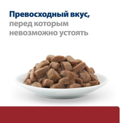 Hill's Feline i/d Salmon 85 г - диета консервы (пауч) для кошек с проблемами ЖКТ (лосось) 3409LN