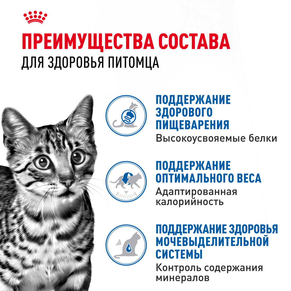 Корм консервированный Royal Canin полнорационный для взрослых кастрированных и стерилизованных кошек, живущих в помещении INDOOR STERILISED (ИНДОР СТЕРИЛАЙЗД), кусочки в соусе - 85 гр