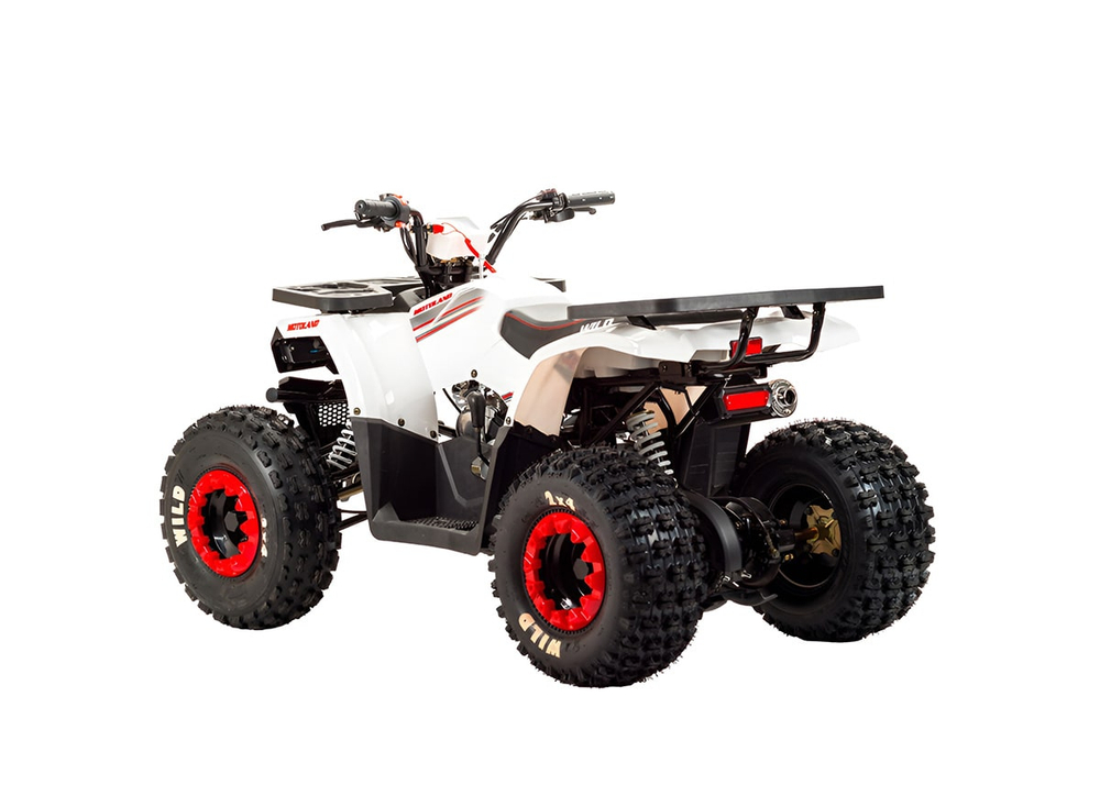 Квадроцикл MOTOLAND 125 Wild