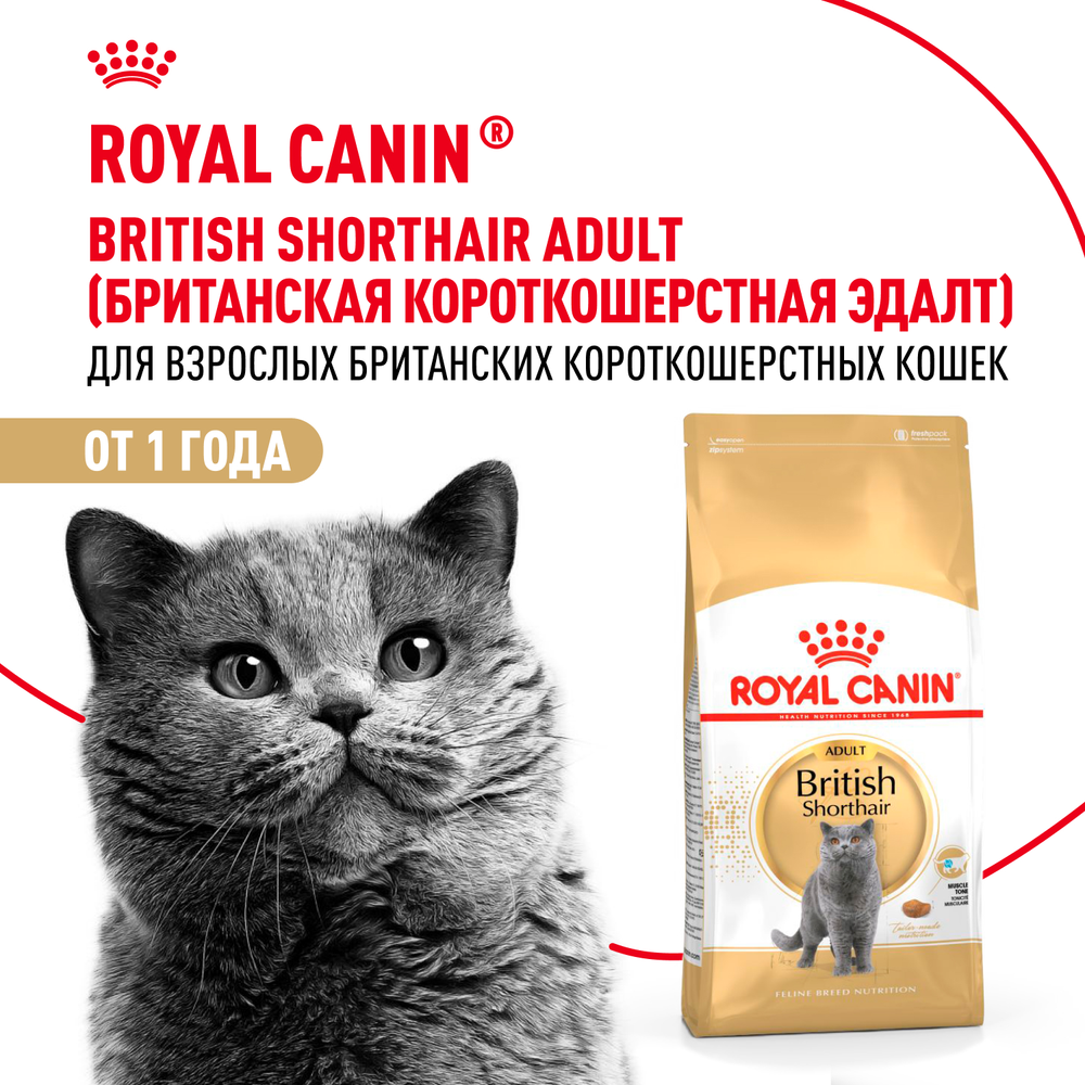 Royal Canin British Shorthair Adult (БРИТАНСКАЯ КОРОТКОШЕРСТНАЯ ЭДАЛТ) Корм сухой для взрослых британских кошек 400г