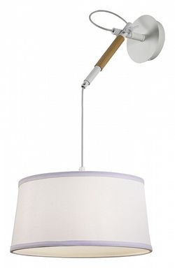 Светильник на штанге F-promo Eureka 3005-1P