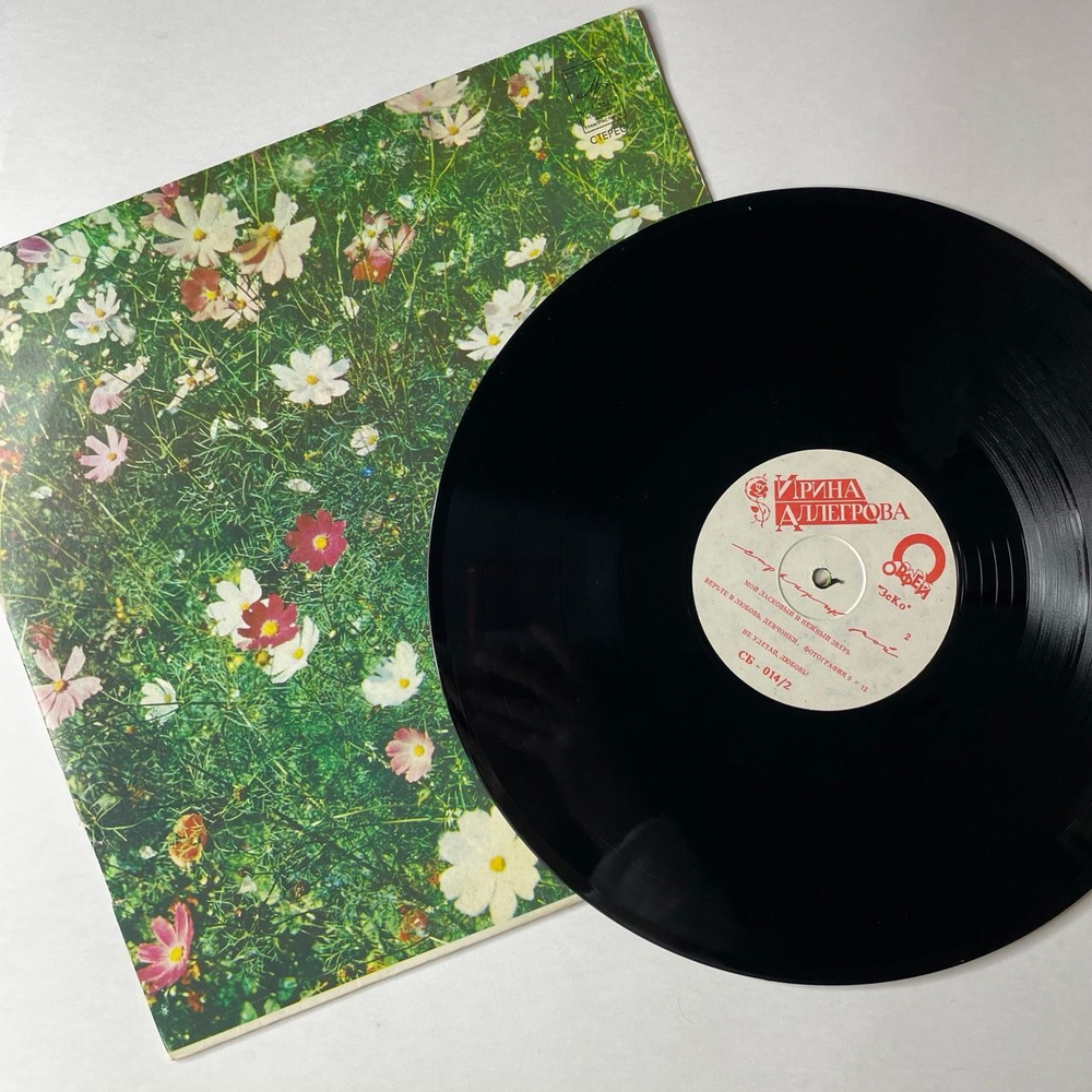 Винтажная виниловая пластинка LP Ирина Аллегрова Странник Мой (Россия 1992)