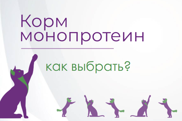 Корм монопротеин для кошек и собак — что это и для чего его покупают заботливые хозяева | Zooharmony