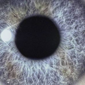 Dan Swano / Moontower (Coloured Vinyl)(LP)