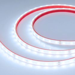 Светодиодная лента герметичная RTW-PFS-A60-11mm 24V Cool 8K (4.8 W/m, IP68, 2835, 5m) (Arlight, -) 034180