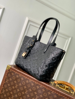 Louis Vuitton All In One PM