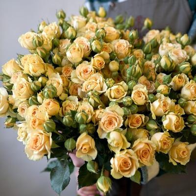 Кустовая роза (нежно-жёлтая)