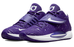 Кроссовки Nike Kd 14 Tb 14 Tpu