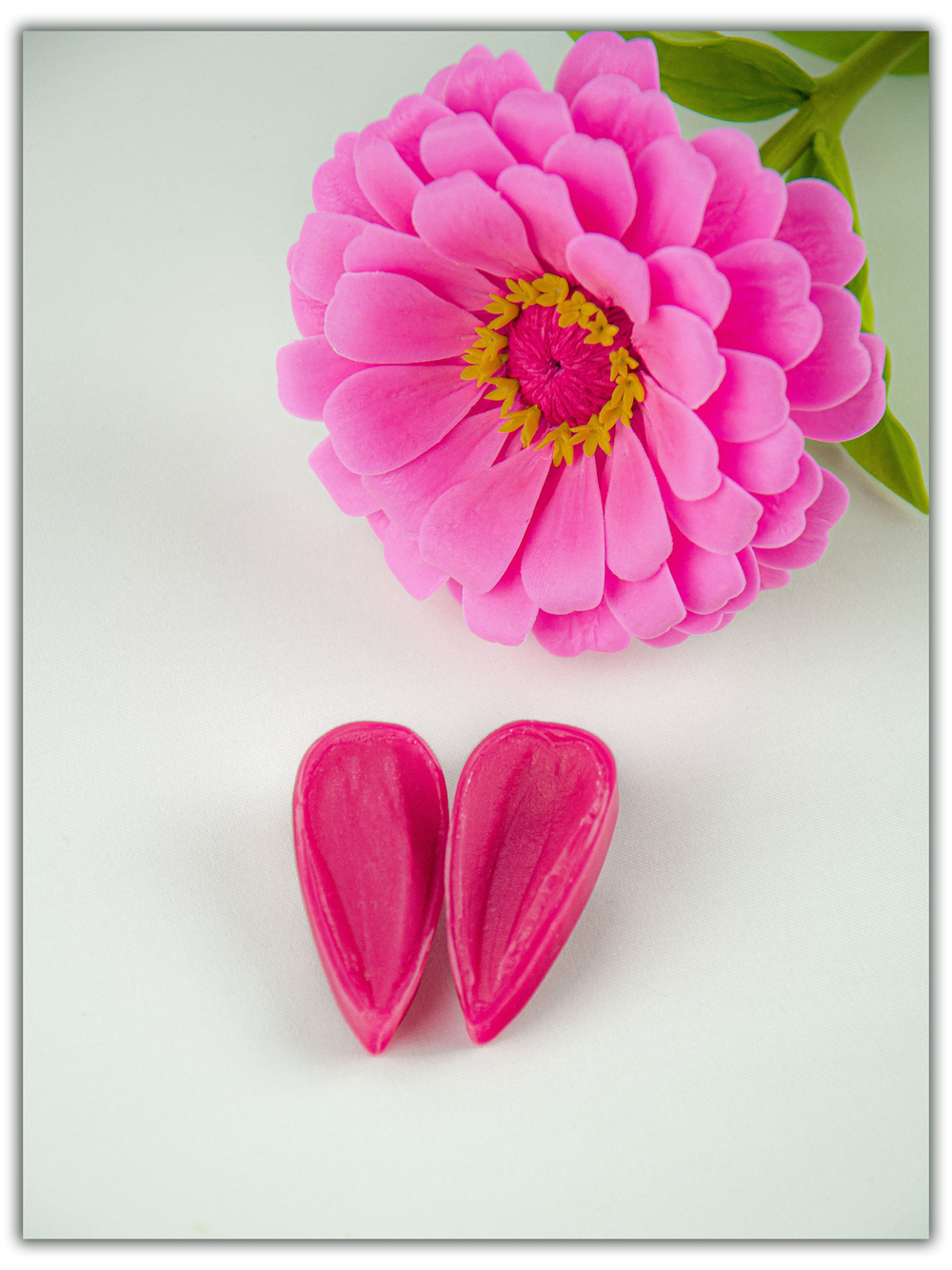 Лепестки циннии