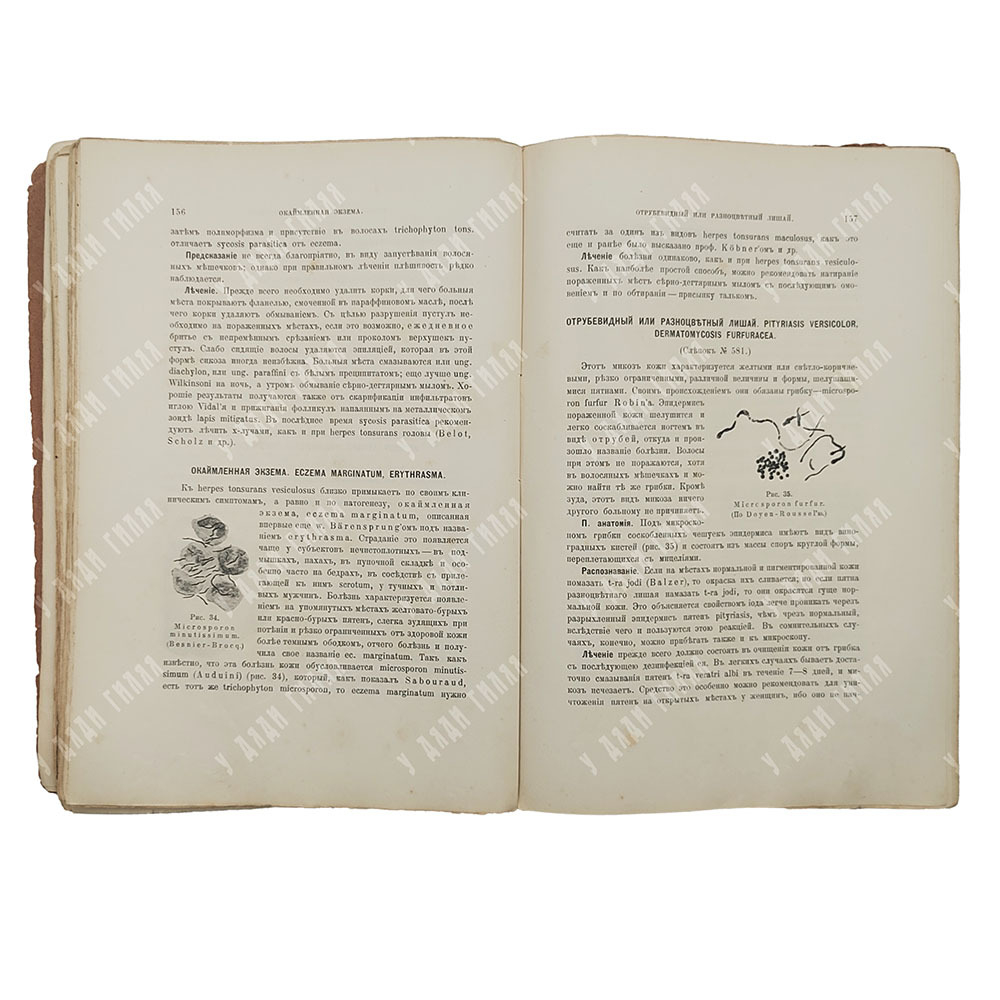 Поспелов А. И. Краткий учебник кожных болезней, 1912.