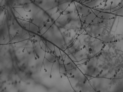 Дизайнерские обои Wall Street Vetve-22