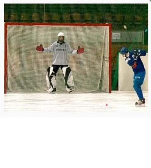 Сетка гашения (хоккей с мячом), 2,00 х 3,50 м, толщина нити: 3,0 мм