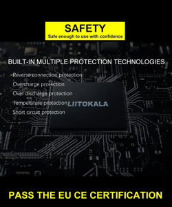 Зарядное устройство Liitokala Lii-S12 Standard, для аккумуляторов, EU