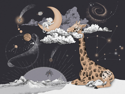 Коллекция COSMOS25