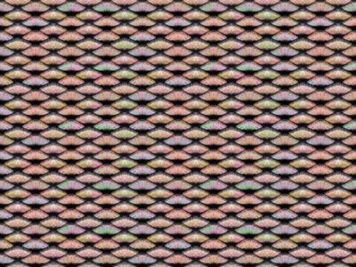 Фреска Applico, коллекция Textures