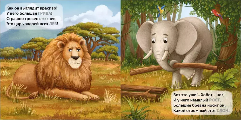 Книжки - картонки. Загадки - рифмы. Дикие животные