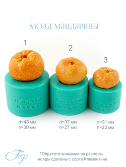 Молд Мандарины