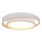 Потолочный светодиодный светильник ST Luce Crosby SLE6009-502-01