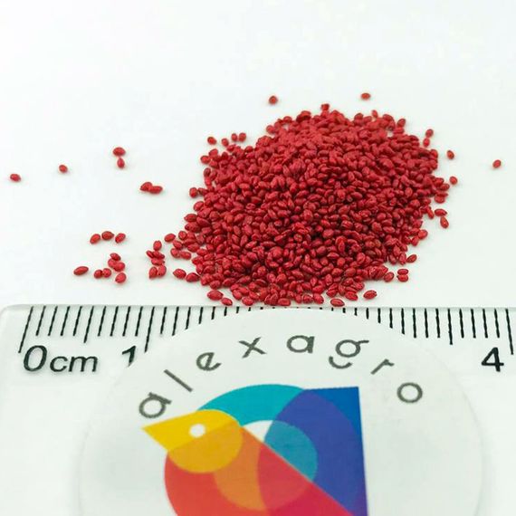 ЛЕТИЦИЯ семена рукколы Enza Zaden цена