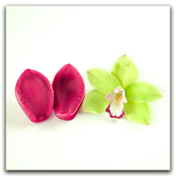 Орхидея цимбидиум