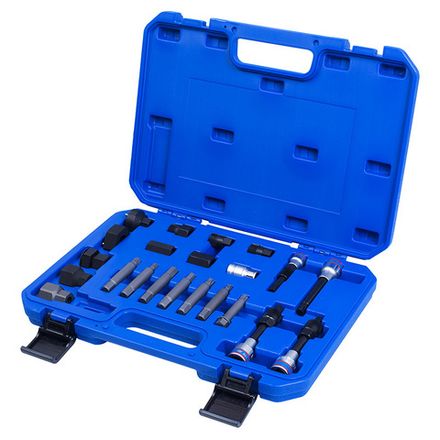 Цена на KING TONY (9DA022) Набор специальных головок для ремонта генератора, 22 предмета