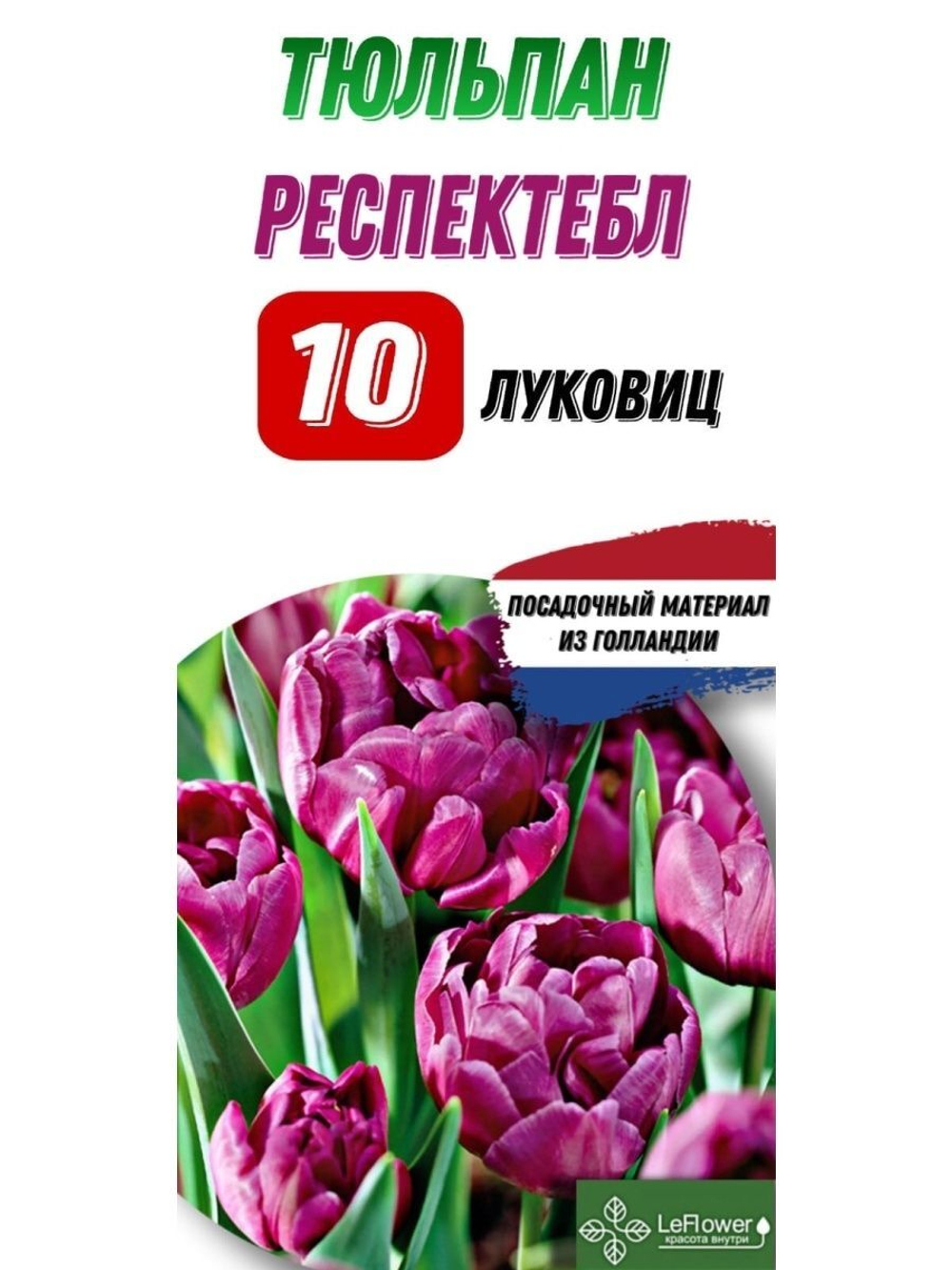 Тюльпан Луковица, Респектбл, 10шт