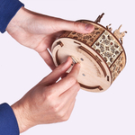 Сборная музыкальная шкатулка Wood Trick Танцующие балерины