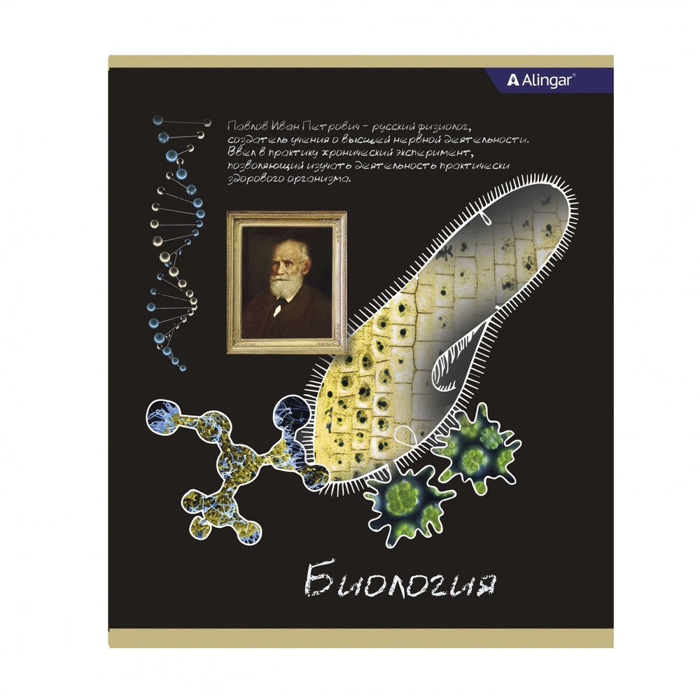 Комплект предметных тетрадей А5 36л., 10 предметов, со справочным материалом, на скрепке, мелованный картон (стандарт), Alingar "К доске!"