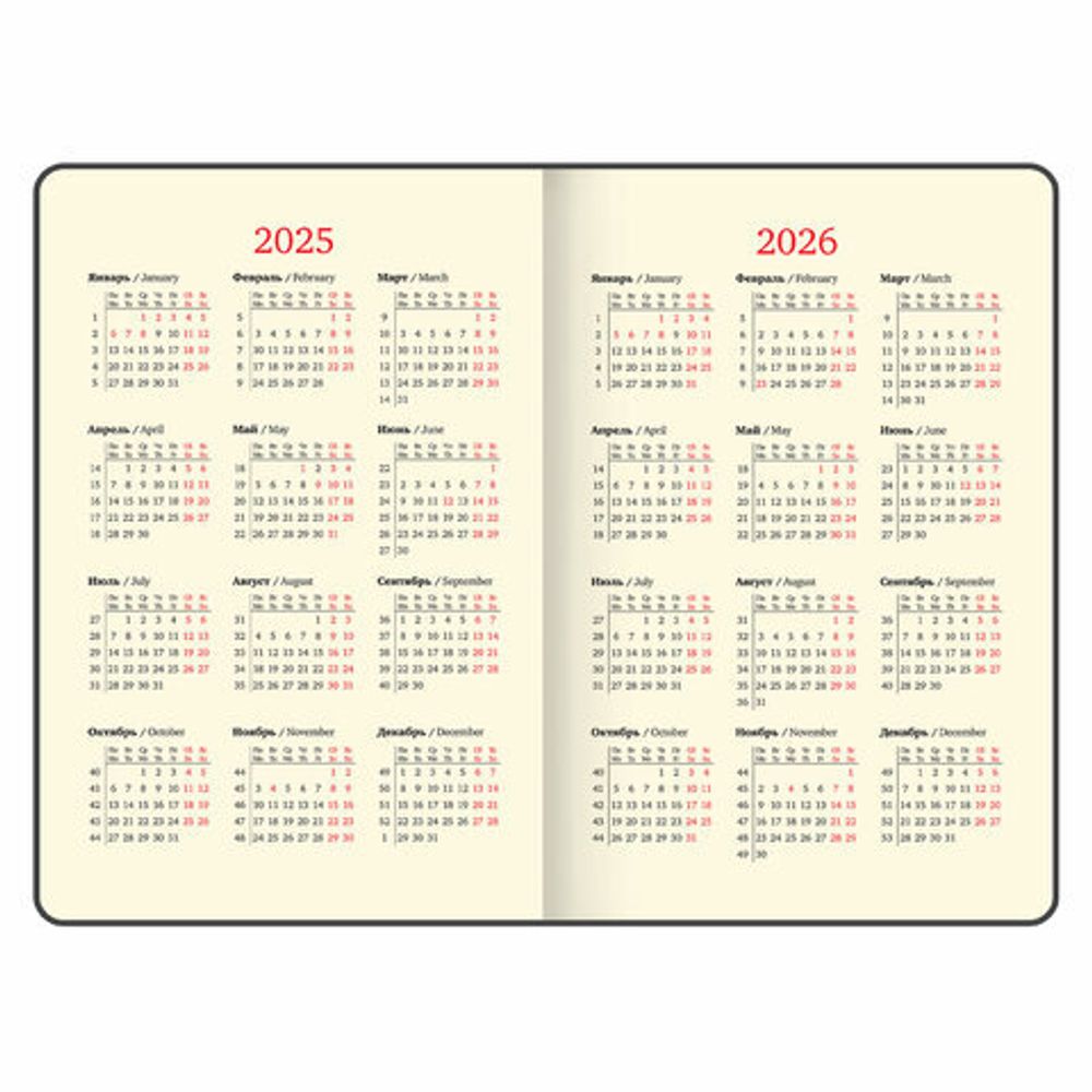 Еженедельник датированный 2025 А5 145х215 мм BRAUBERG "Augustus", под кожу, коричневый, 115952