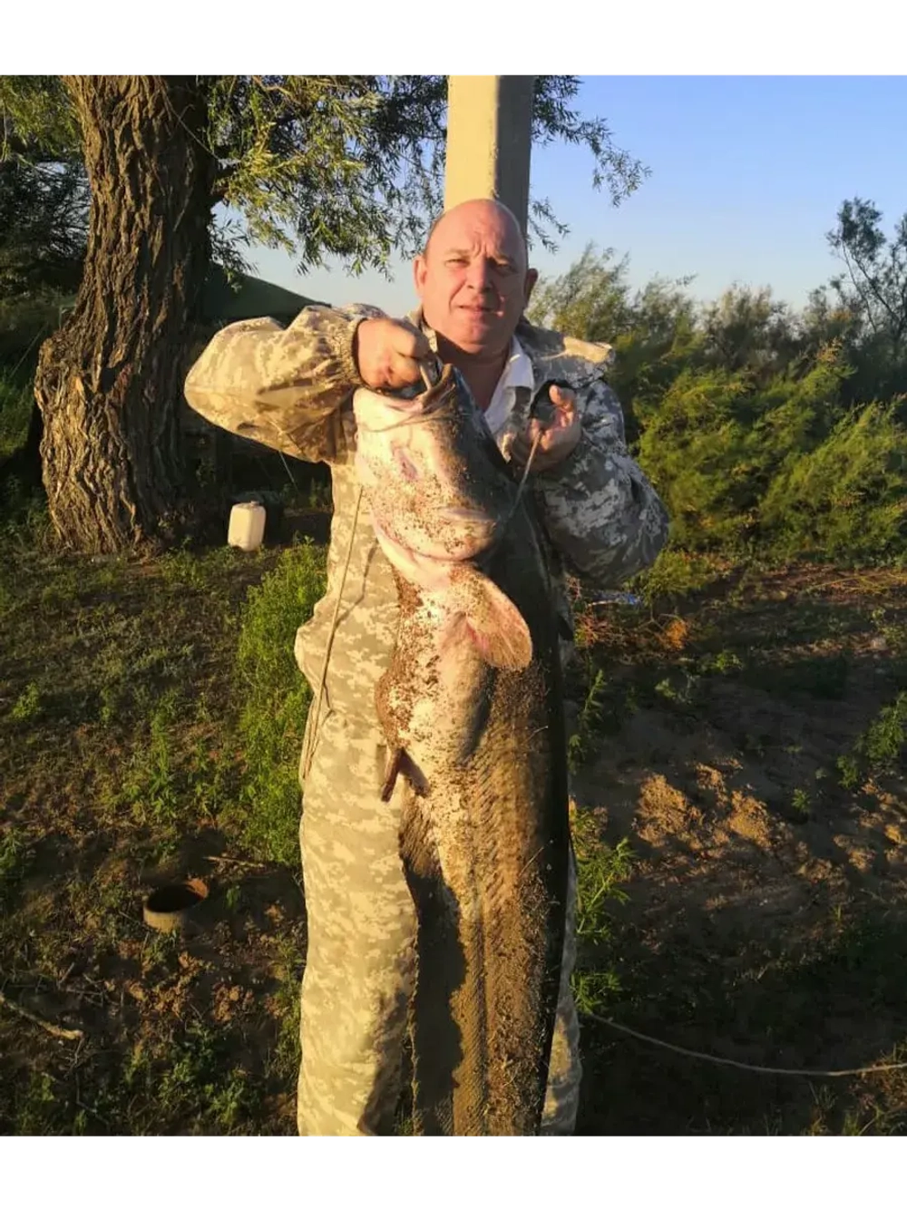 Оснастка для ловли сома на квок