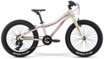 Фэтбайк Merida Matts J20+ Eco (2021)