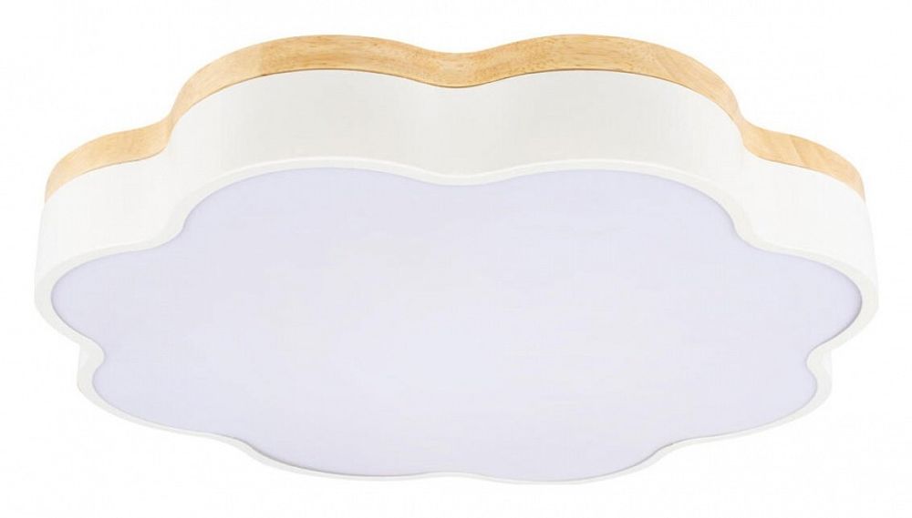 Накладной светильник Loft it Axel 10225/36 White