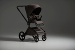 Детская коляска Anex Flo 2 в 1 Browny