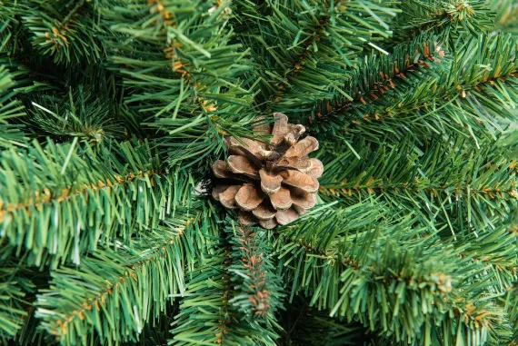 Искусственная елка Снежная королева зеленая 350 см., мягкая хвоя, ЕлкиТорг (32350)