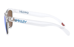 Oakley Frogskins Очки